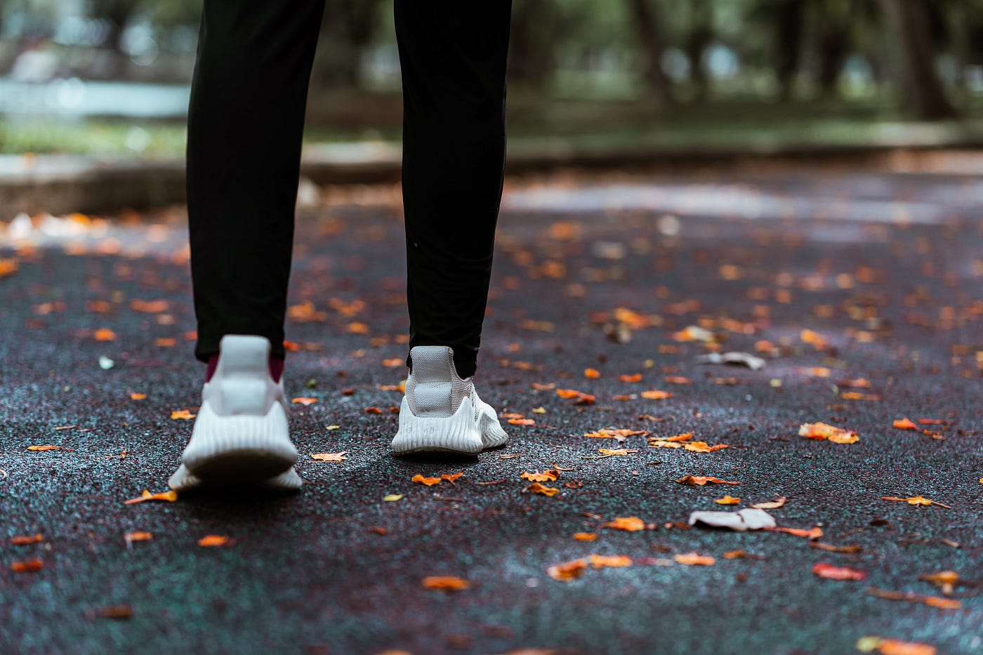 Micro-Investing for Women: Growing Wealth Step by Step