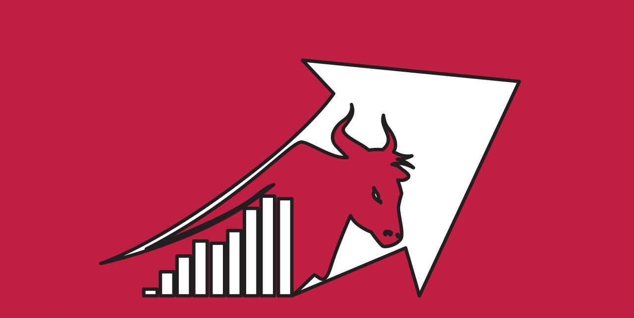 Ride the Bull Run: A Step-by-Step Guide to Stock Market Success