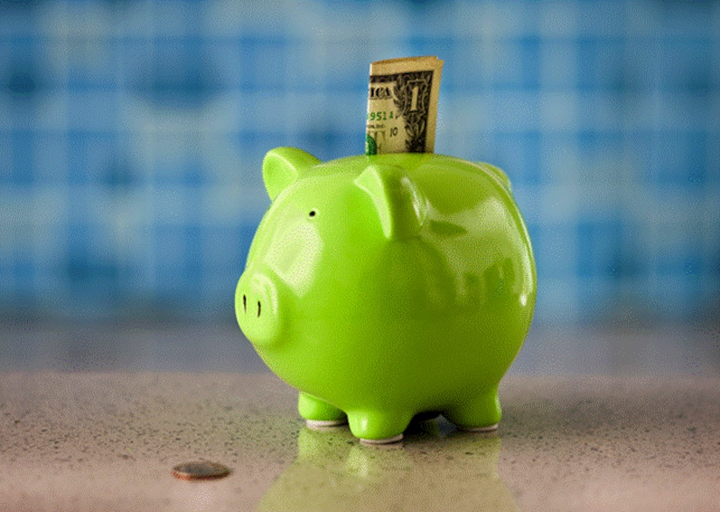The Curious Piggy Bank: Advika's lessons on savings